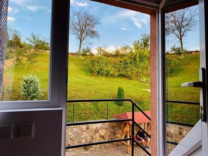 casa anca Hotel Sighetu Marmaţiei Esterno foto