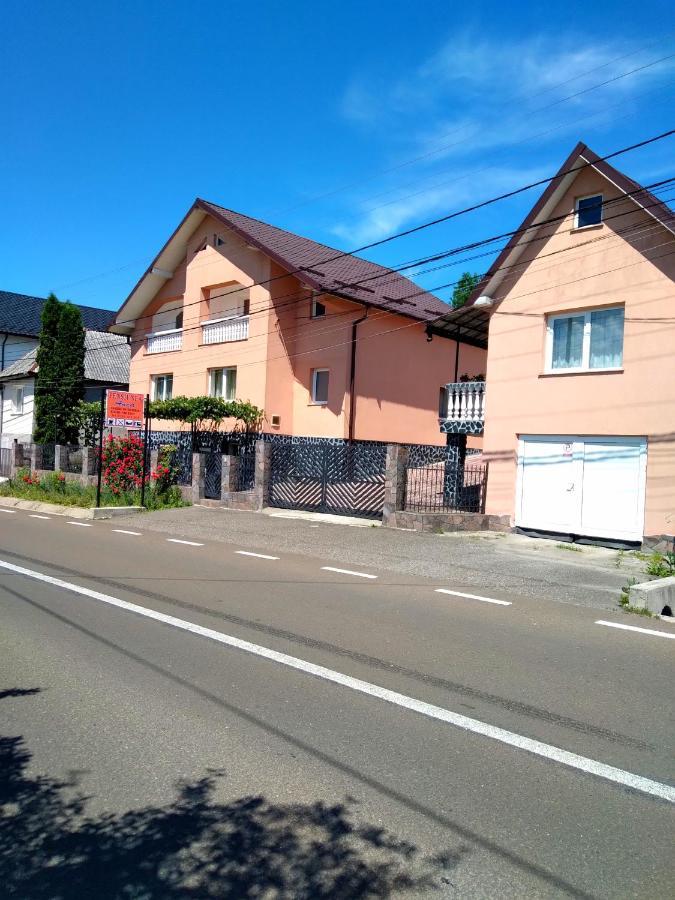 casa anca Hotel Sighetu Marmaţiei Esterno foto